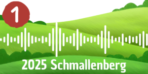 VS NRW Podcast-Schmallenberg